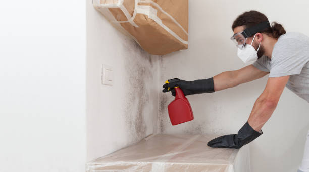 Professional Hvac And Air Duct Mold Remediation technician working in Island Lake, IL